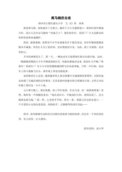 斑马线的自述