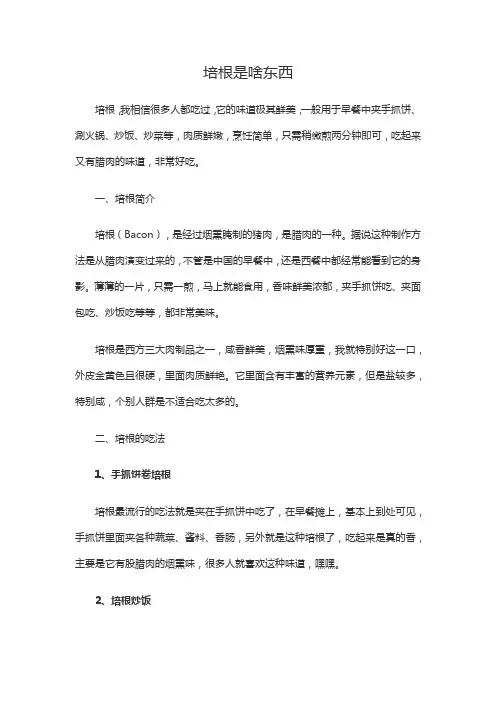 培根是啥东西