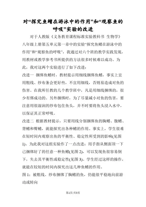 对“探究鱼鳍在游泳中的作用”和“观察鱼的呼吸”实验的改进