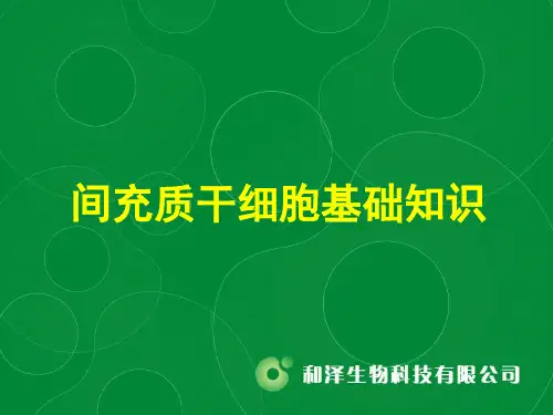MSC干细胞