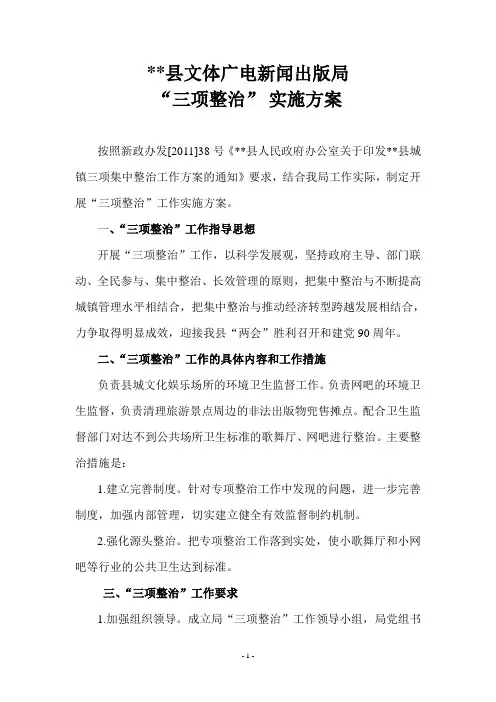 县文体局三项整治活动方案