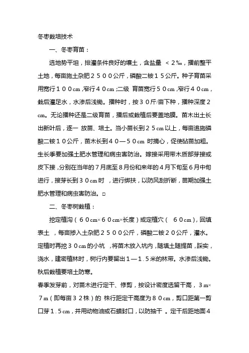冬枣栽培技术