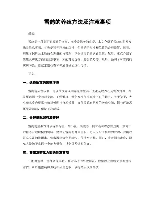 雪鸽的养殖方法及注意事项