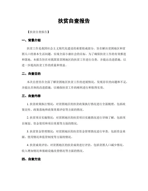 扶贫自查报告