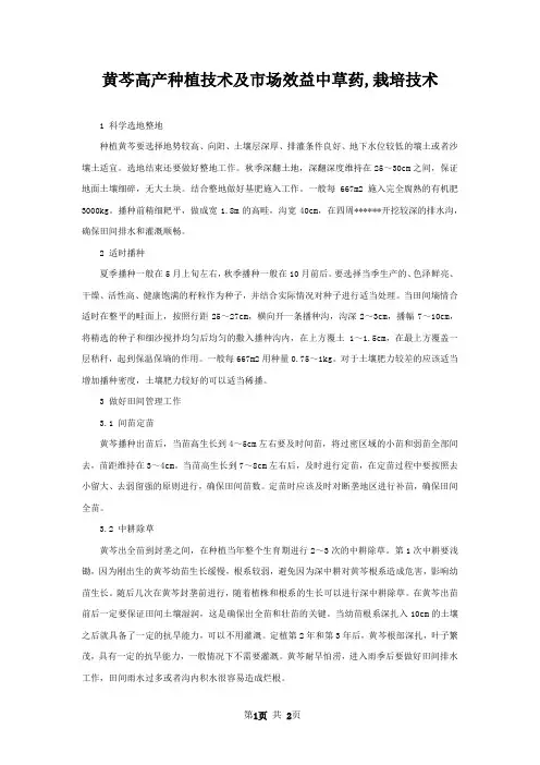 黄芩高产种植技术及市场效益中草药,栽培技术