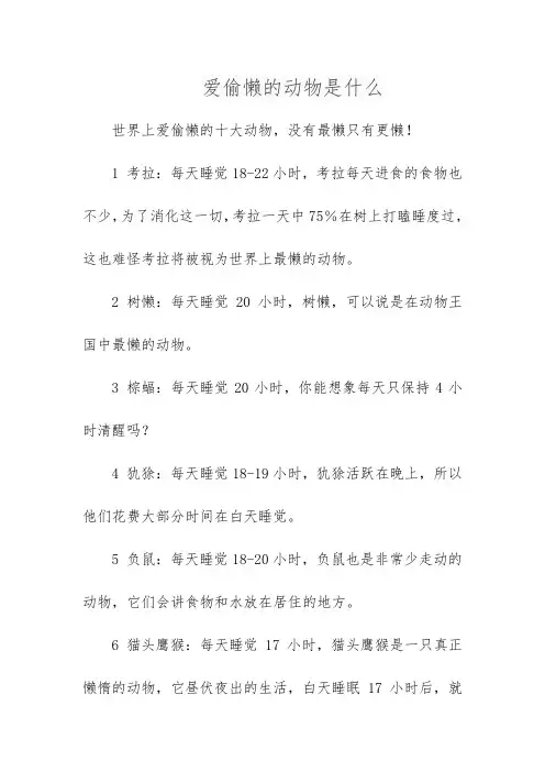 爱偷懒的动物是什么