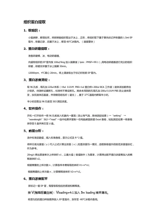组织蛋白提取