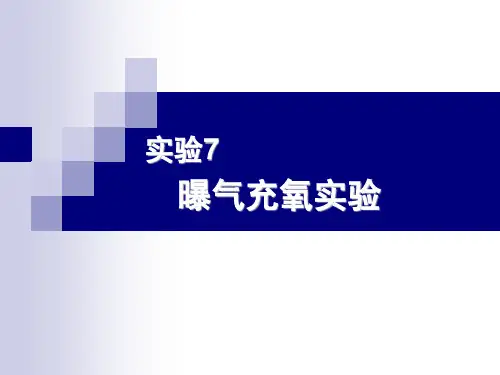 曝气充氧实验