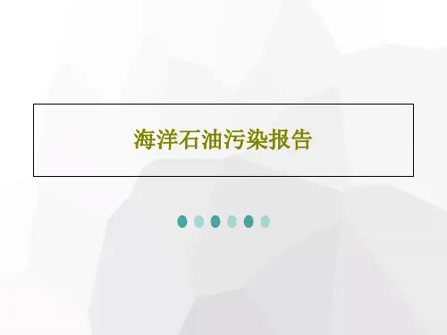 海洋石油污染报告32页PPT