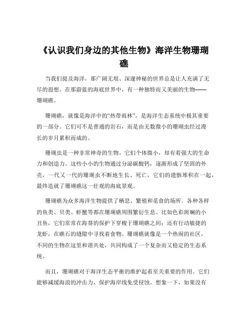 《认识我们身边的其他生物》海洋生物珊瑚礁