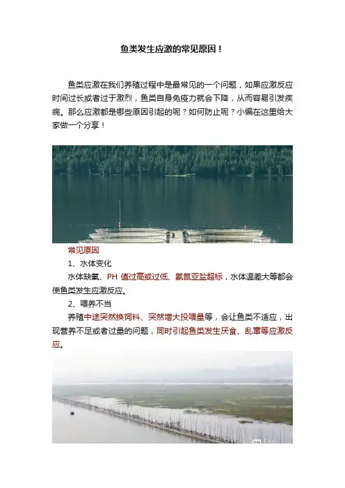 鱼类发生应激的常见原因！