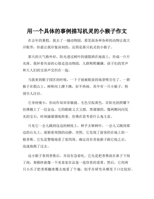 用一个具体的事例描写机灵的小猴子作文