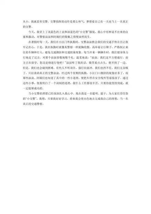我是光荣小交警