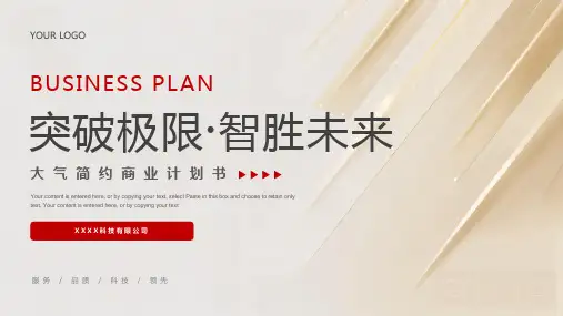 红色金色大气简约商业计划书PPT模板