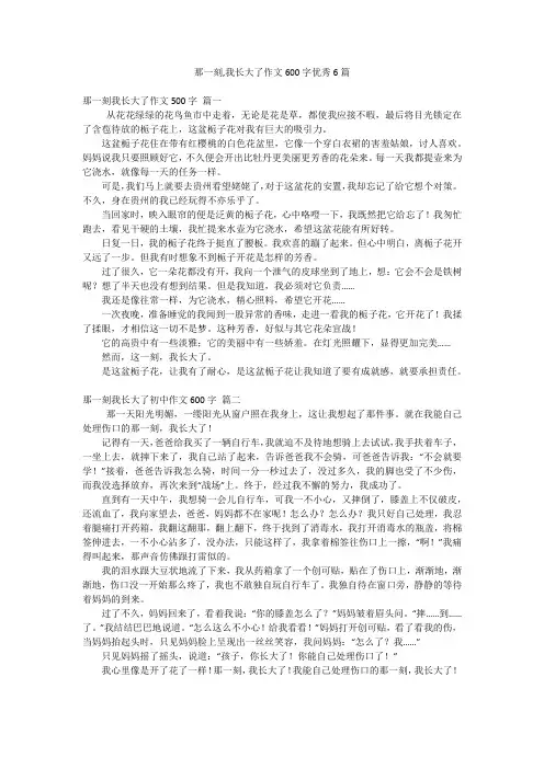 那一刻,我长大了作文600字优秀6篇