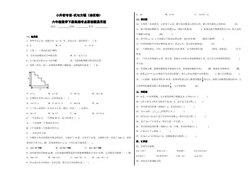 小升初专项第2讲+式与方程(培优卷)六年级数学下册高频考点易错题通用版