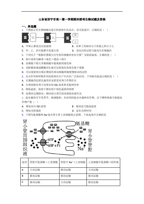 山东省济宁市高一第一学期期末联考生物试题及答案