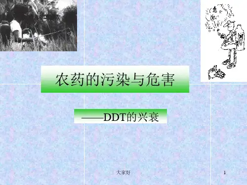 农药的污染与危害 PPT