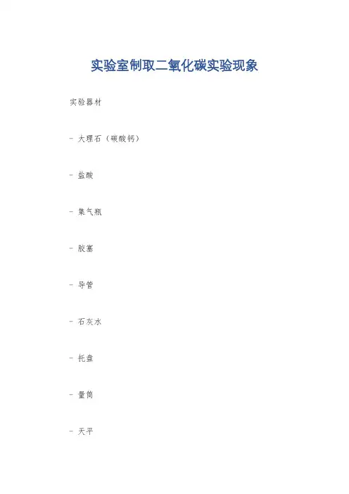 实验室制取二氧化碳实验现象