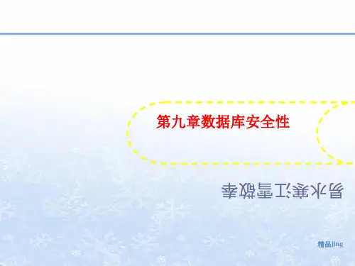 第九章数据讲义库安全性