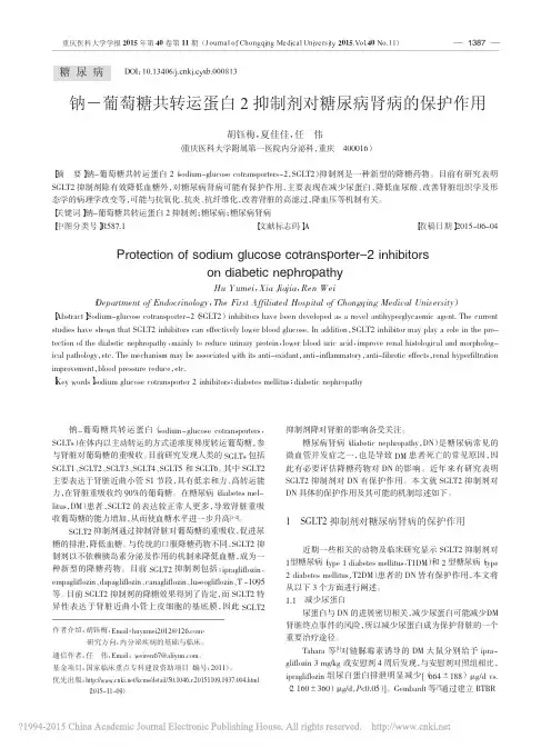 钠_葡萄糖共转运蛋白2抑制剂对糖尿病肾病的保护作用_胡钰梅