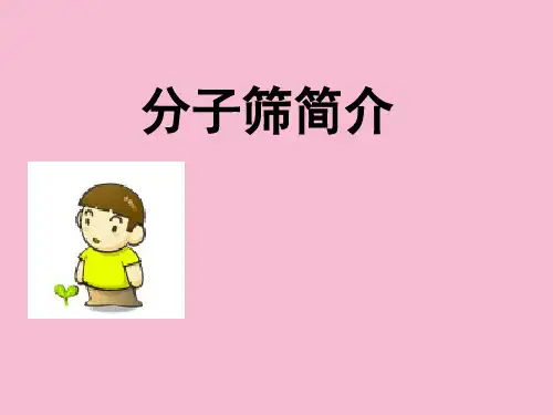 什么是分子筛ppt课件