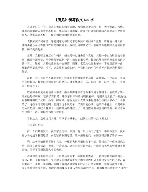 《所见》续写作文500字