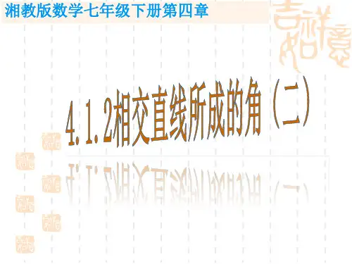 新湘教版七年级数学下册《4章 相交线与平行线  4.1 平面上两条直线的位置关系》课件_9