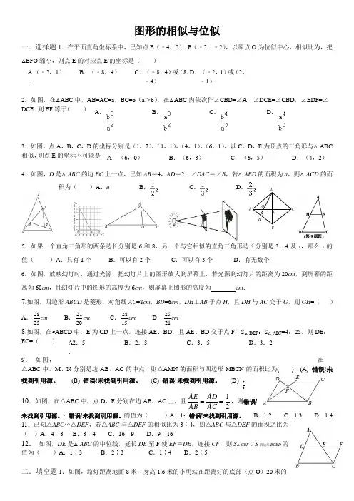 图形的相似与位似