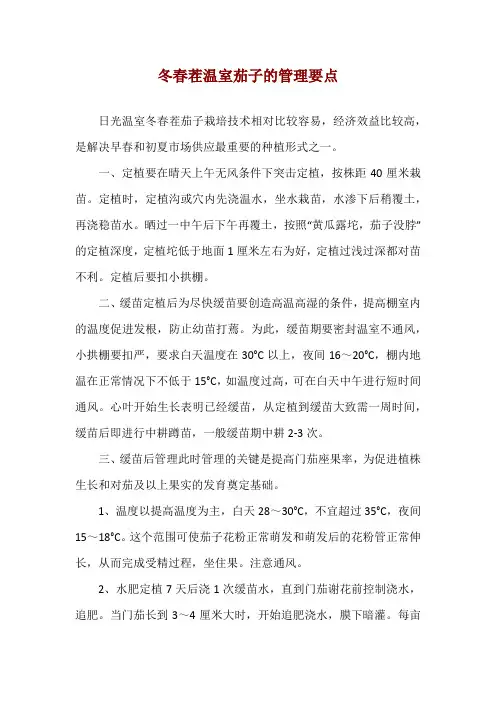 冬春茬温室茄子的管理要点