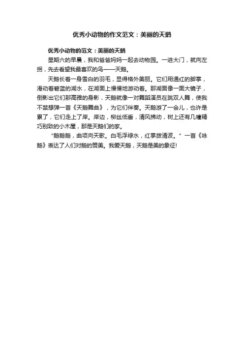 优秀小动物的作文范文：美丽的天鹅
