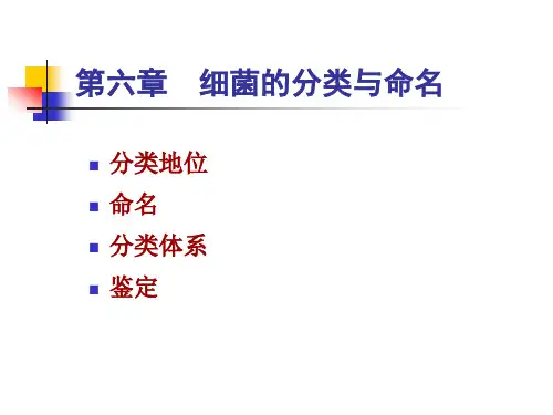 细菌的分类与命名