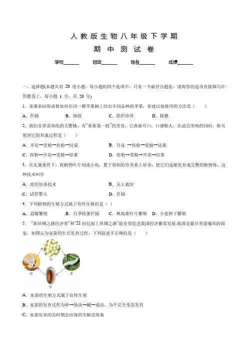 人教版八年级下册生物《期中考试卷》附答案