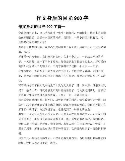 作文身后的目光900字