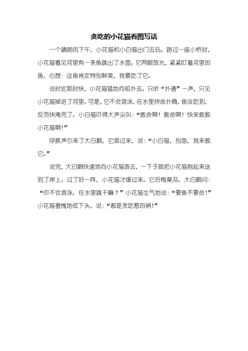 二年级作文：贪吃的小花猫看图写话