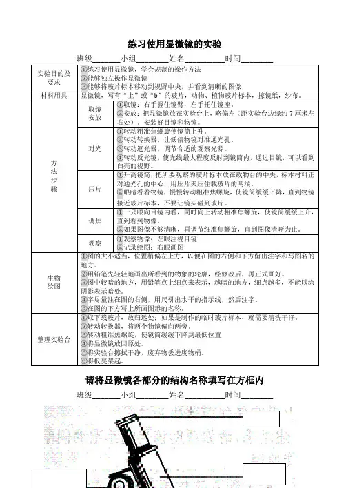 初中七年级(初一)生物  练习使用显微镜的实验