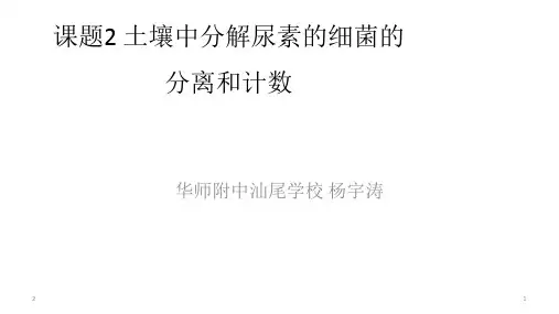 高中生物 人教版 选修1 专题2 微生物的培养与应用 2.2 土壤中分解尿素的细菌的分离和计数课件  (36张PPT)