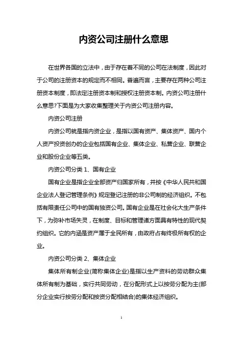 内资公司注册什么意思