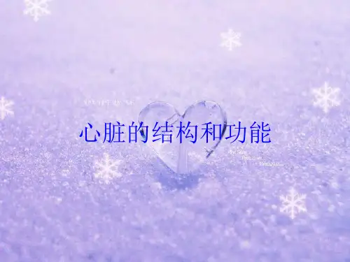 心脏的结构和功能培训课件