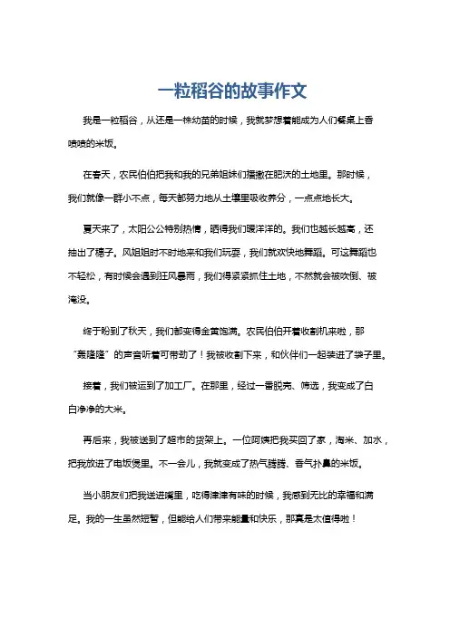 一粒稻谷的故事作文