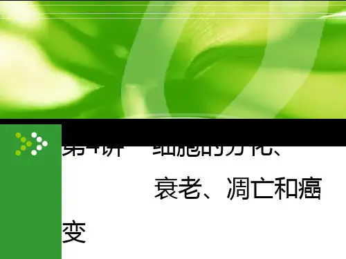 2020高考生物一轮复习(创新方案) 第4单元  第4讲  细胞的分化、衰老、凋亡和癌变