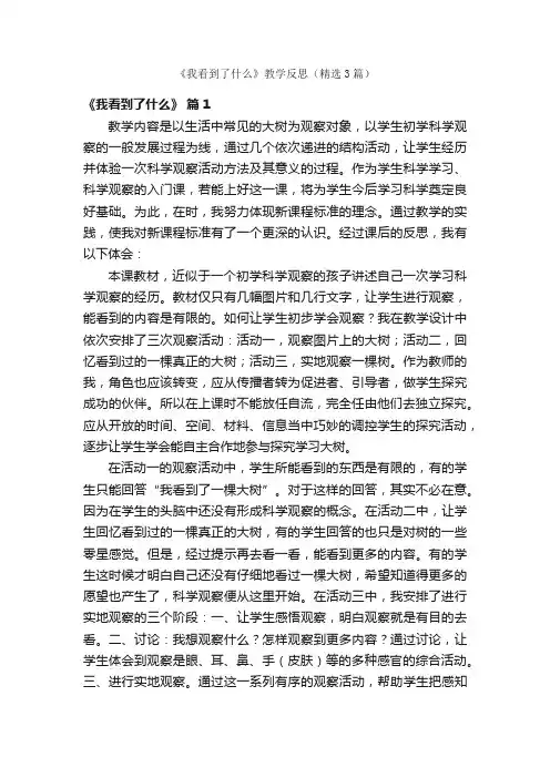 《我看到了什么》教学反思（精选3篇）