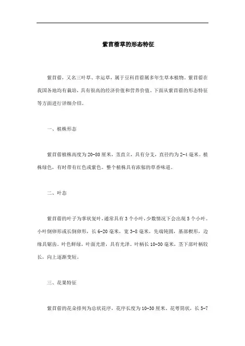 紫苜蓿草的形态特征