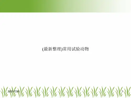 (最新整理)常用试验动物