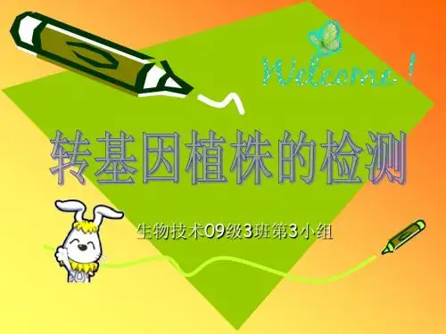 转基因检测