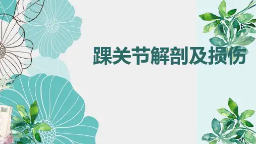 踝关节解剖和损伤MRI影像表现