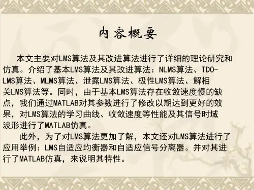 lms及其改进算法研究_ppt