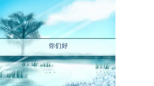 机动车检测站培训(全面) PPT