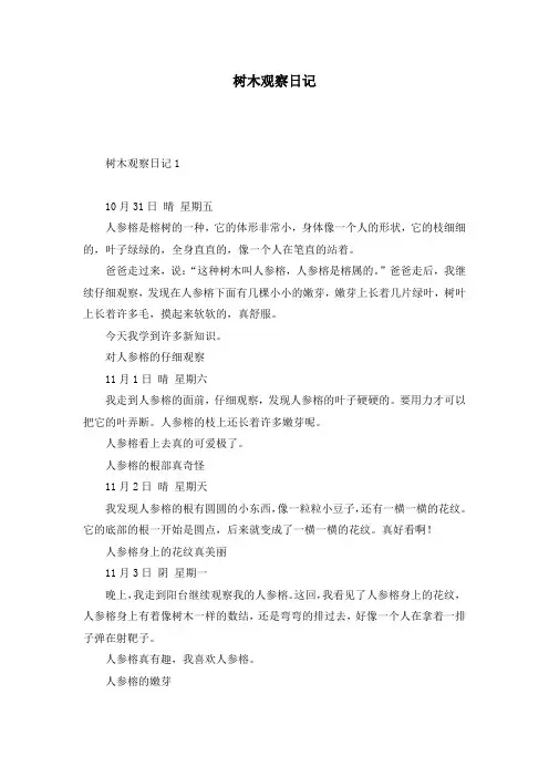 树木观察日记