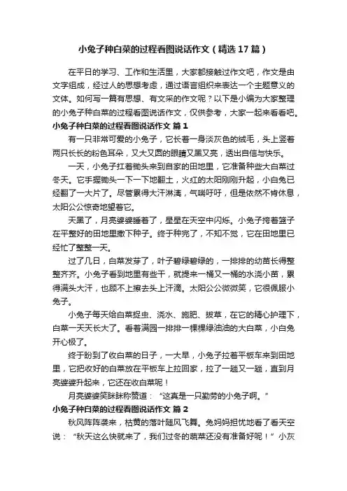 小兔子种白菜的过程看图说话作文（精选17篇）